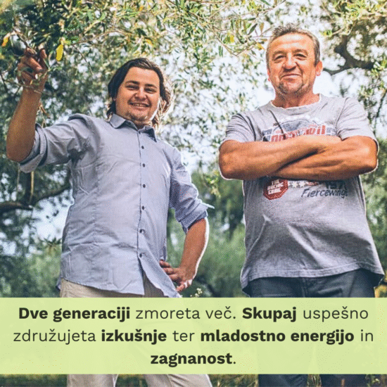 OLJČNO OLJE cuvee Grego - Image 7