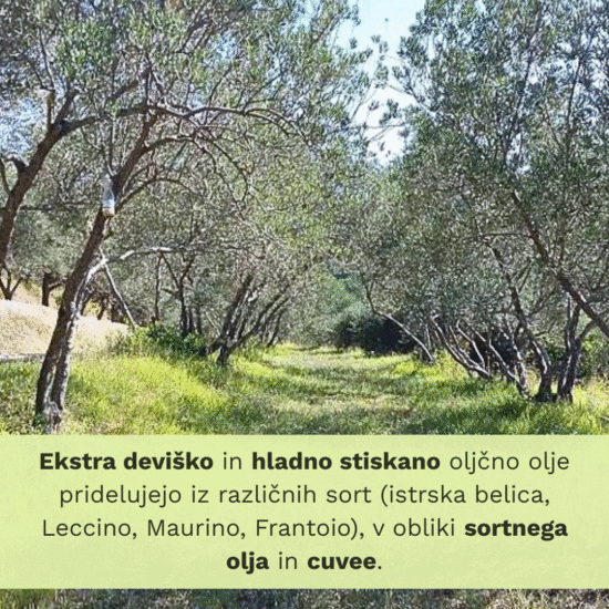 OLJČNO OLJE cuvee Grego - Image 5