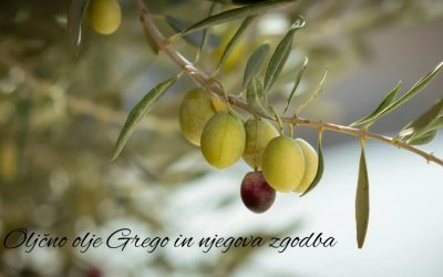 Oljčno olje Grego – tekoče zlato slovenske Istre