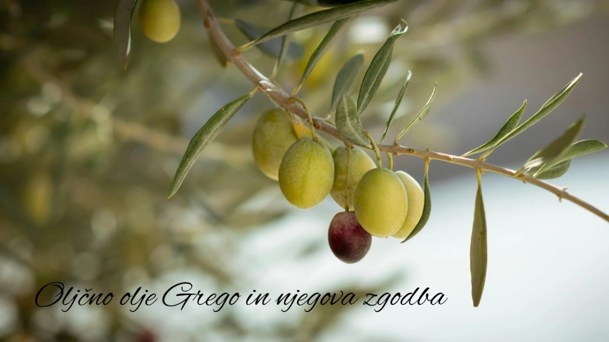 Oljčno olje Grego
