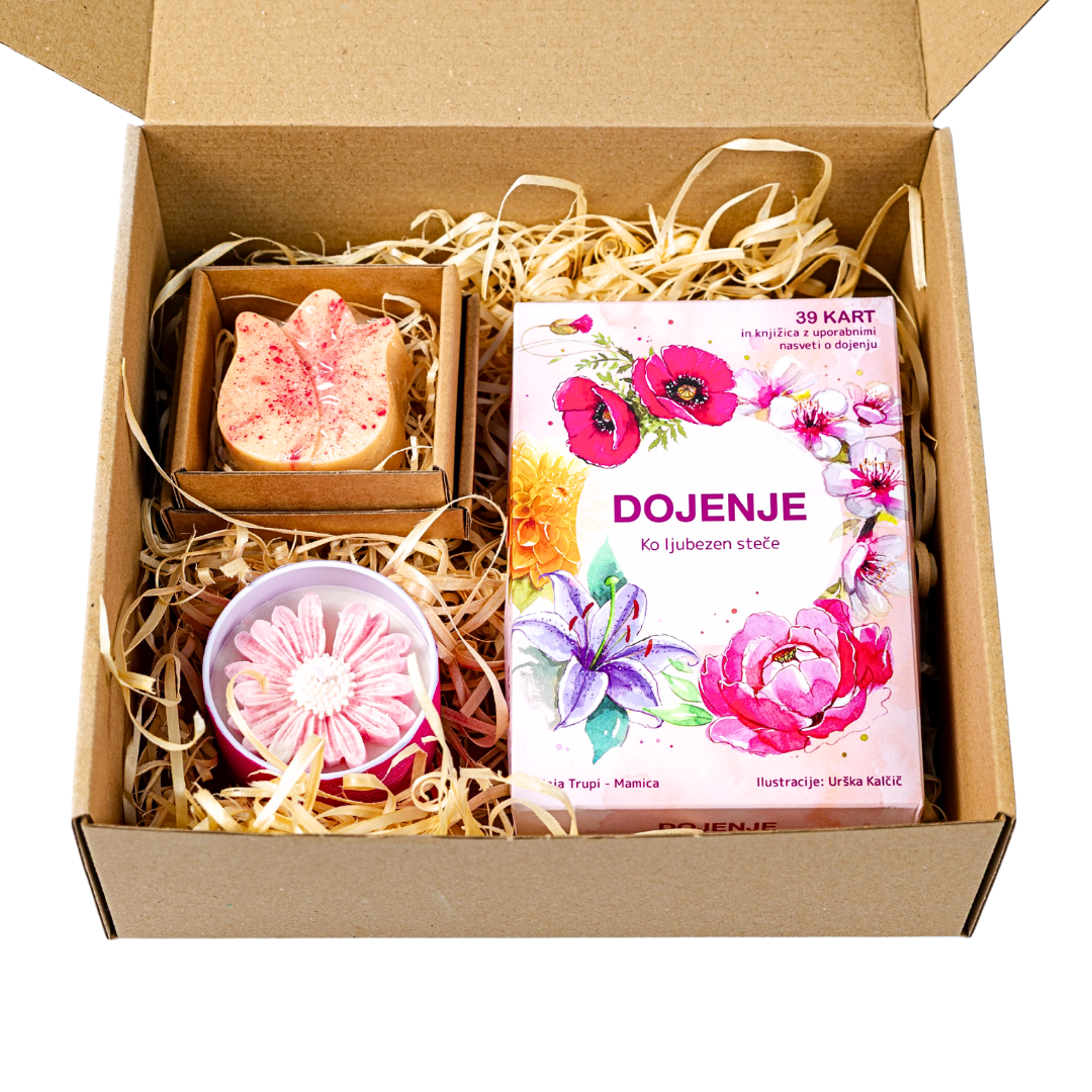 Božično darilo NEŽNI ZAČETKI